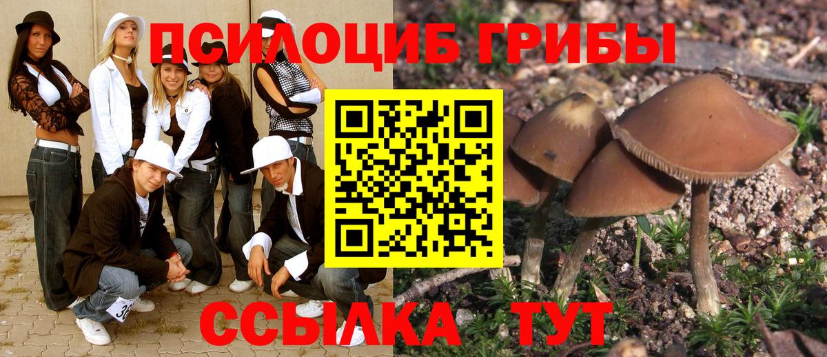 Псилоцибиновые грибы MAGIC MUSHROOMS Бийск