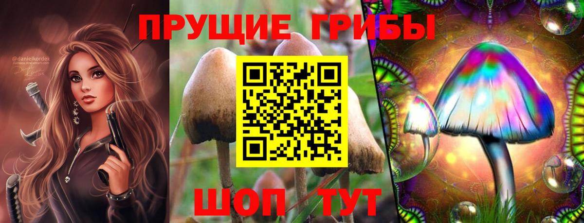 Бийск  Галлюциногенные грибы GOLDEN TEACHER  Вход с VPN 